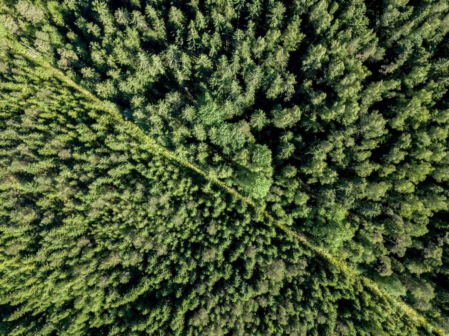 Welcome to Tech Green Finance Week