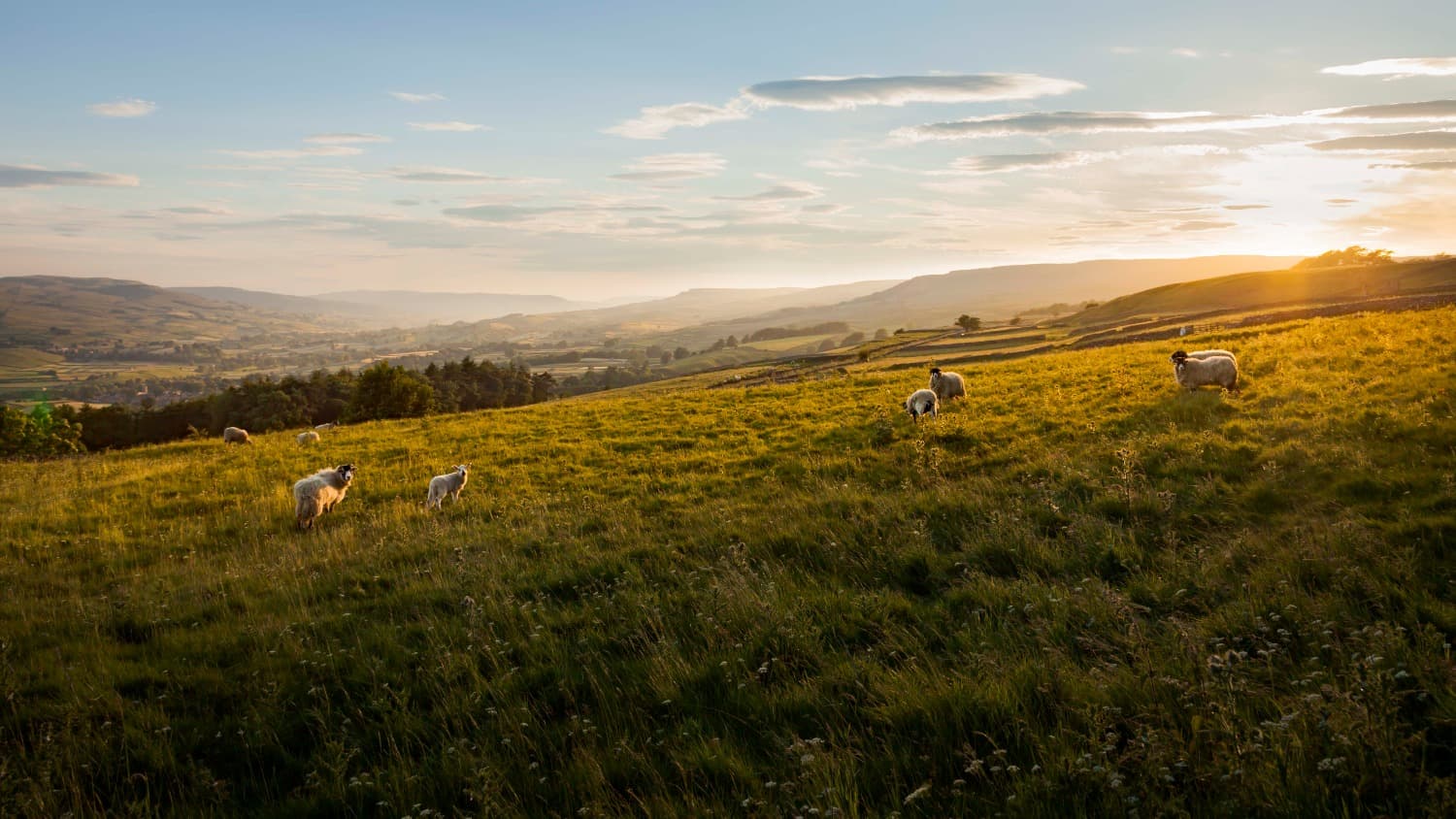 Guest blog: How a data driven rural place drives opportunity for all