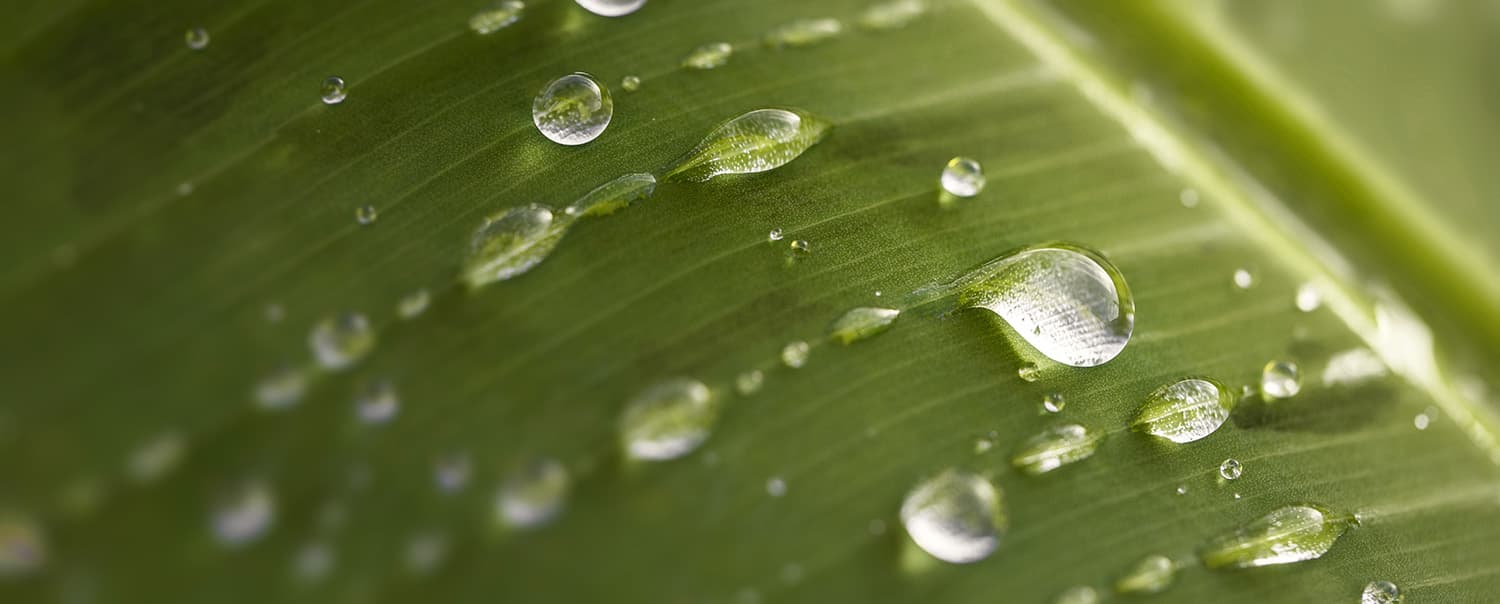 Five ways tech businesses can help tackle climate change