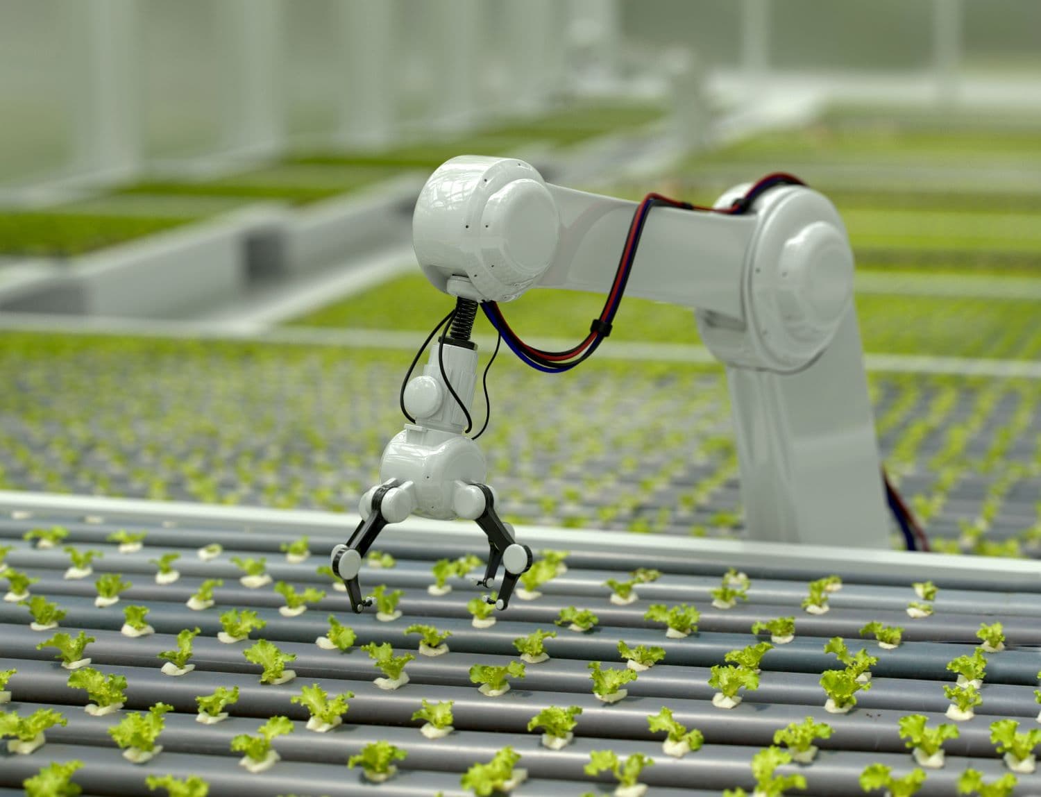 techUK Climate Policy Forum April event summary