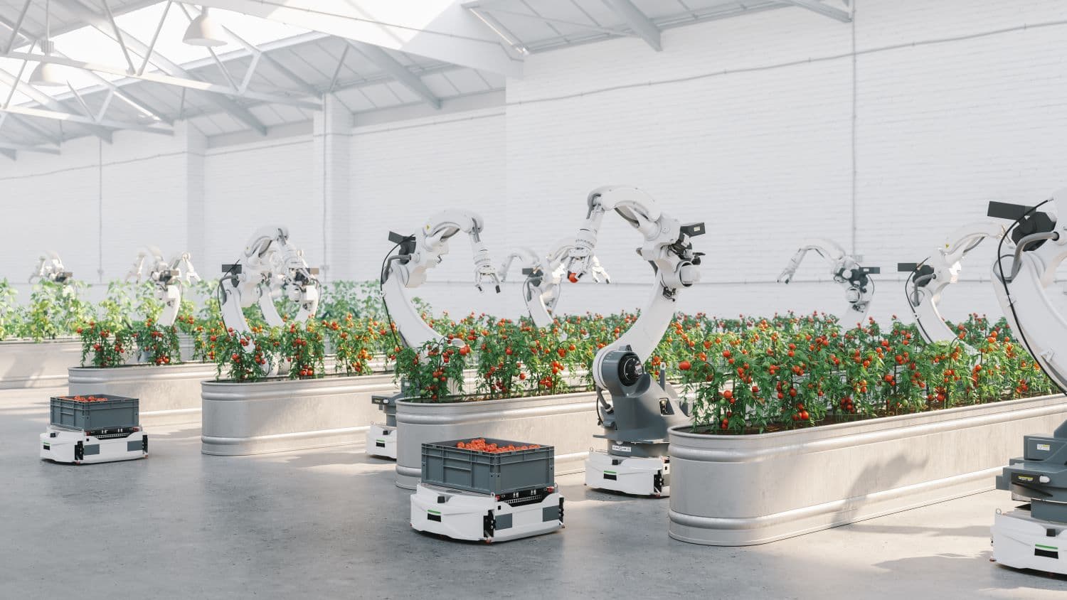 Fighting Climate Change with AI: Just more 'Jam Tomorrow'? (Guest blog by Lone Star Analysis)