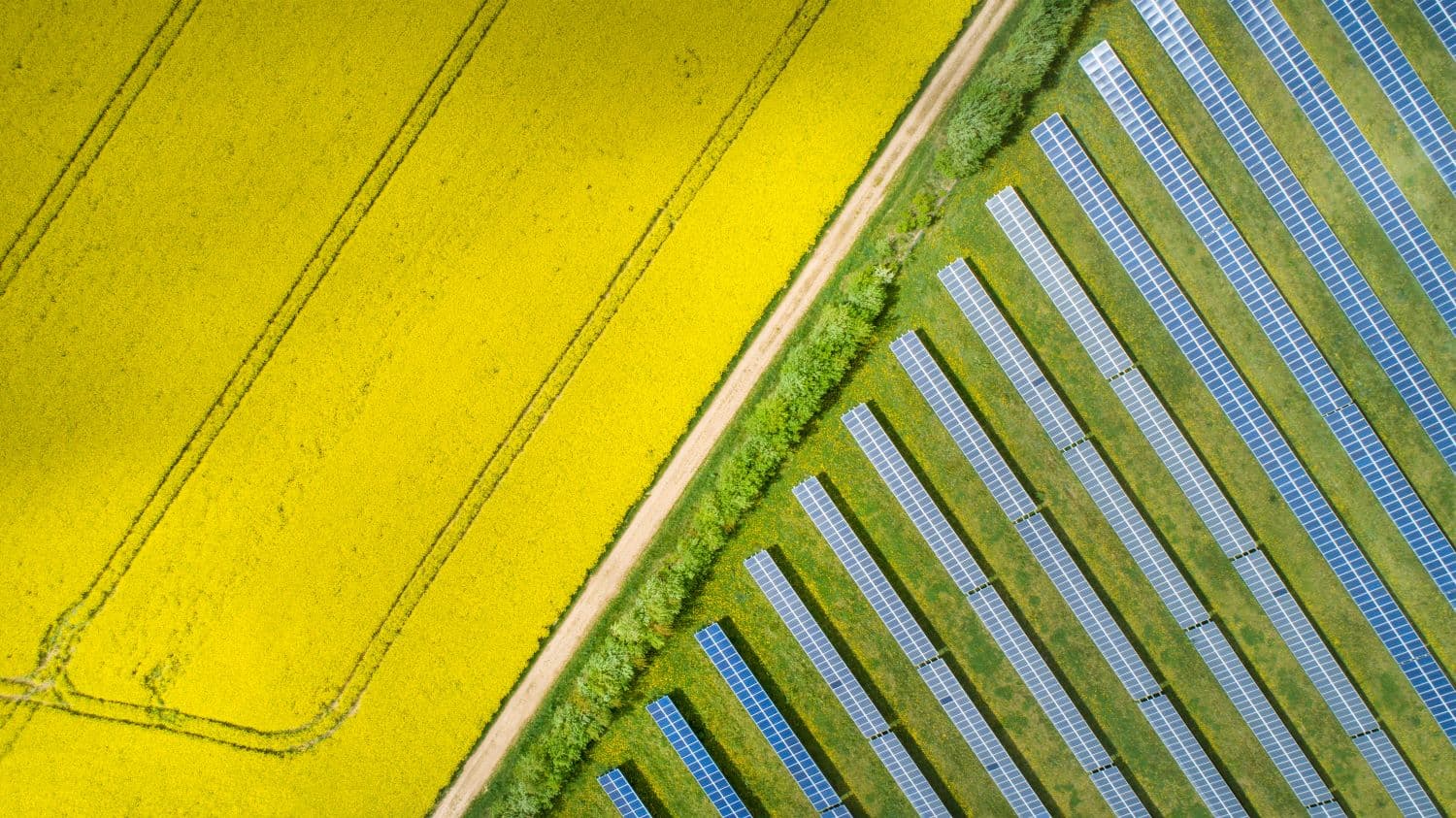 Guest blog: From Orbit to Earth - Satellites, a Tool for Climate Mitigation