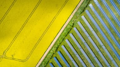 Aerial view of a solar farm beside a rapeseed field, illustrating sustainability themes relevant to corporate reporting reform