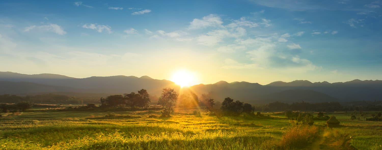 Event recap: Telecoms, tech and the future of the UK agri-food sector
