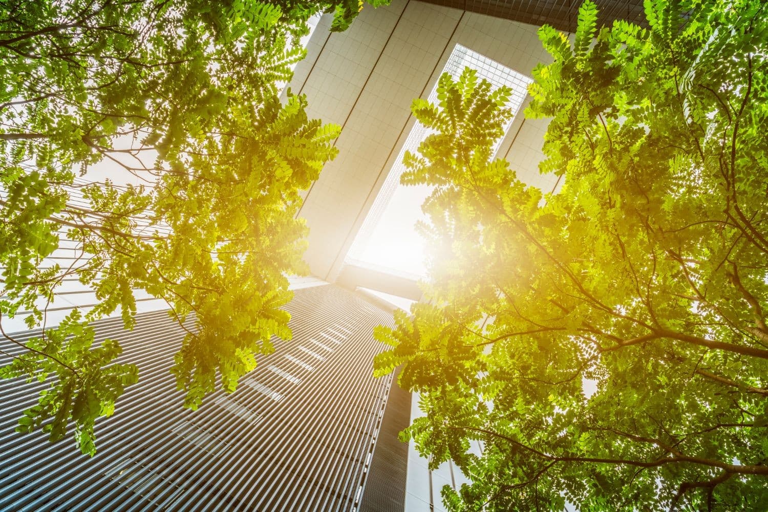 techUK Climate Policy Forum April 2026
