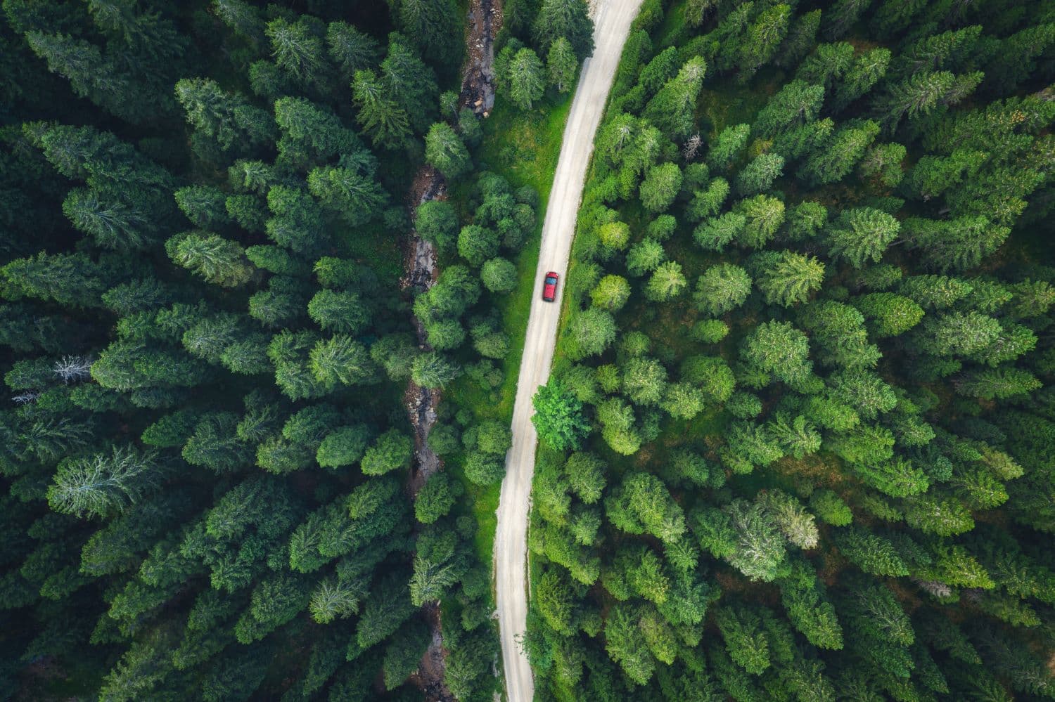 Opportunities of a data-driven future (how can data support SMEs transition to net zero?) (Guest blog from Climax Community)