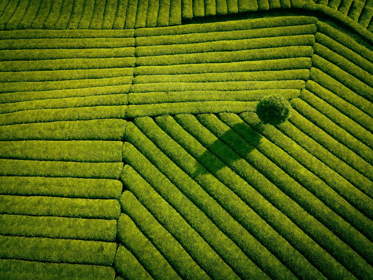 Tech and Nature Summit 2026