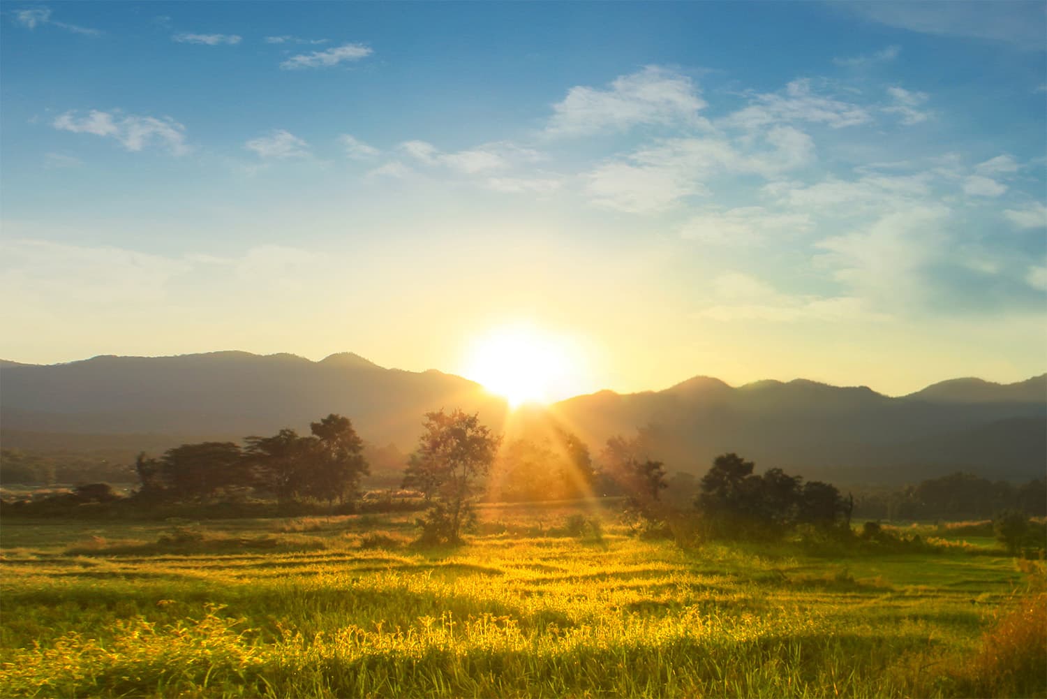 Unlocking value with rural broadband: a policy rethink