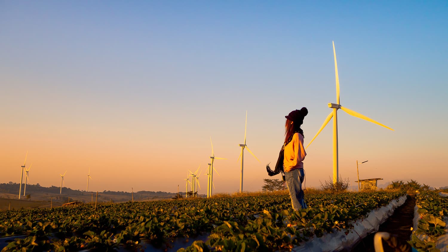 Digitalisation – Essential for Energy System Transformation. But What About Communications? (Guest blog by Grid Scientific Limited)