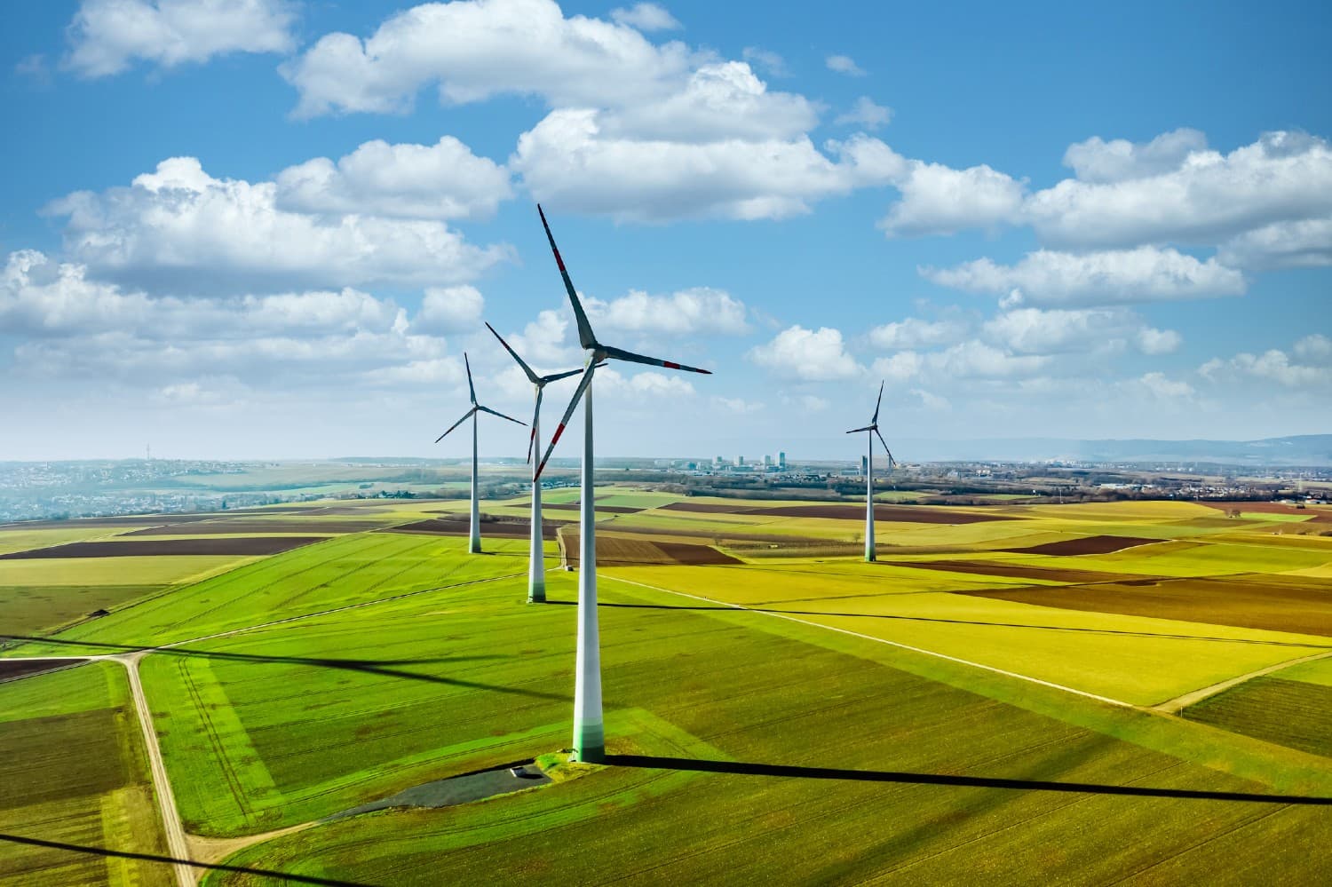 Guest Blog: Oracle Accelerates Transition to Low-carbon Economy