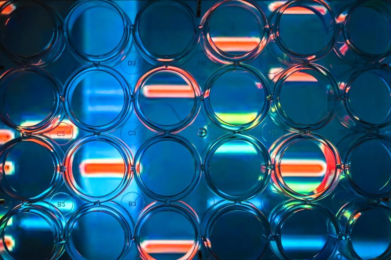 Life Sciences in the Government’s Industrial Strategy