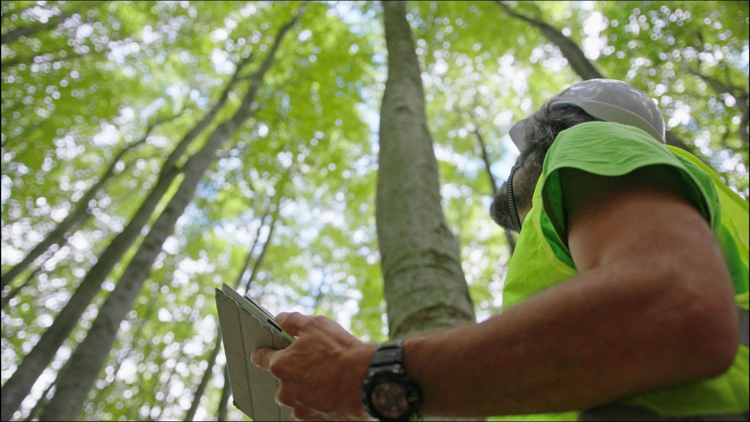 Guest blog: Unlocking New Revenue: How Accountants Can Turn Carbon Reporting into a new service line