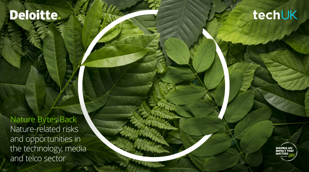 techUK and Deloitte publish industry-leading Nature Bytes Back report