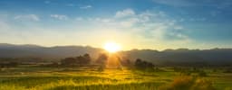 Field natural landscape with sunset