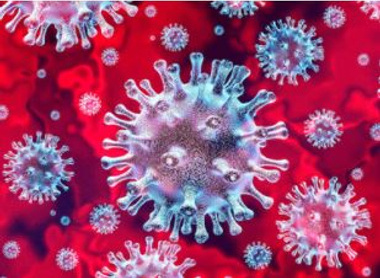 virus.JPG 3