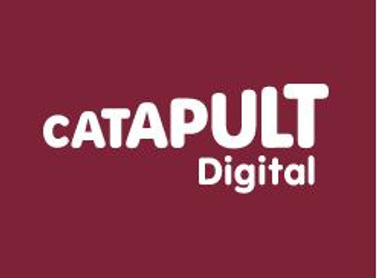 digital catapult.JPG