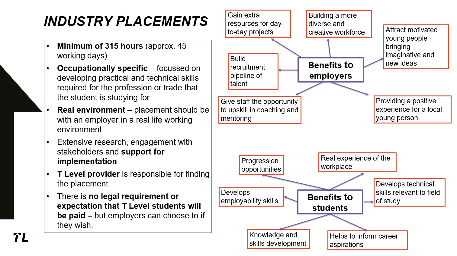 T Level Placement graphic.jpg