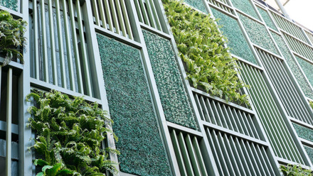 Green wall - Climate Campaign Only.jpg