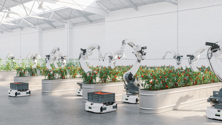 Robots with Tomatoes - Climate Campaign Only.jpg 1
