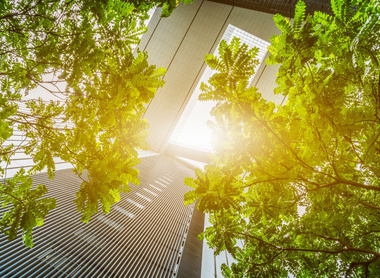green buildings - CLIMATE CAMPAIGN ONLY.jpg