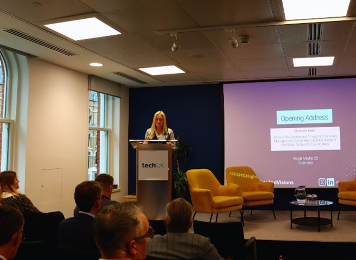2024 Highlights and 2025 Vision: Reflections and Roadmaps for AI, Skills and Procurement
