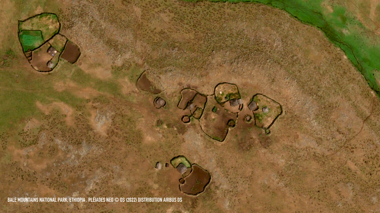 _Bale Mountains National Park, Ethiopia , Pléiades Neo © DS (2022) Distribution AIRBUS DS.png