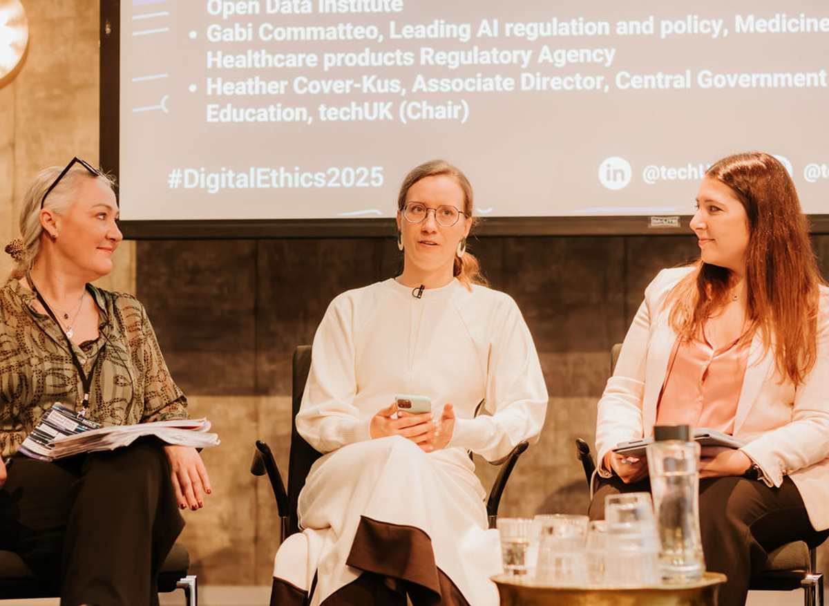 AI in the Public Sector: Lessons learned from Health, Defence, Justice, and Education 