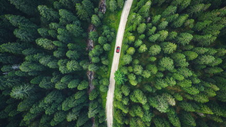 Road through trees - Climate Campaign Only.jpg 1