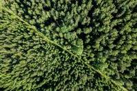 Planet-green-energy-climate-164266757-web-1500px.jpg