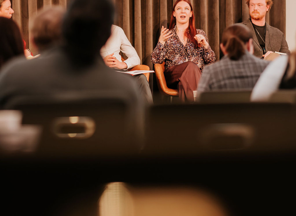 What does the spectrum of open and closed models mean for developers trying to democratise access?