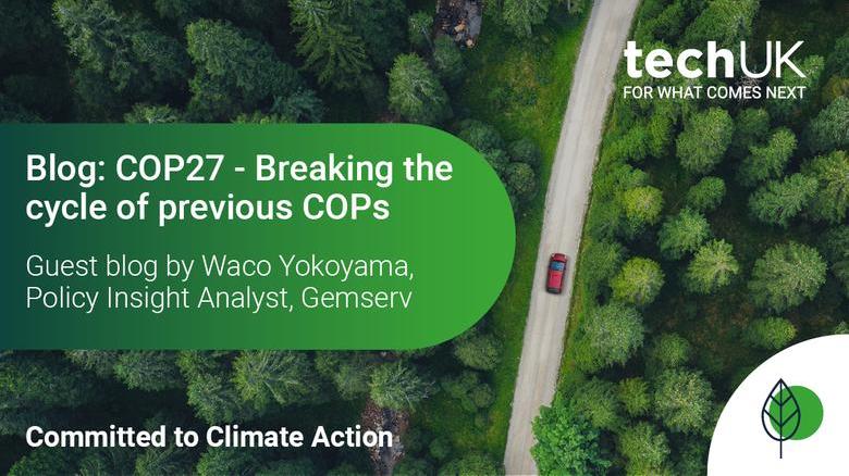blog_cop27_gemserv_final.jpg