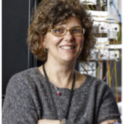 Professor Dimitra Simeonidou