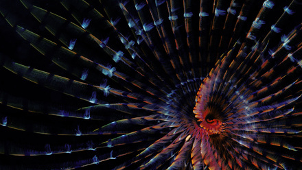 Telecoms campaign 9 - smaller.jpg