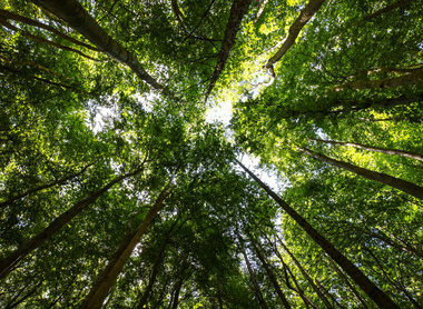 Planet-green-energy-climate-164266757-web-1500px.jpg