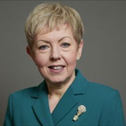 The Rt Hon Baroness Stowell of Beeston MBE