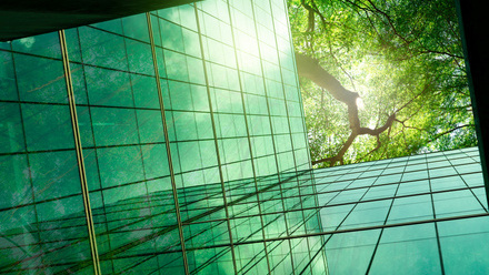 iStock-1493187091.jpg