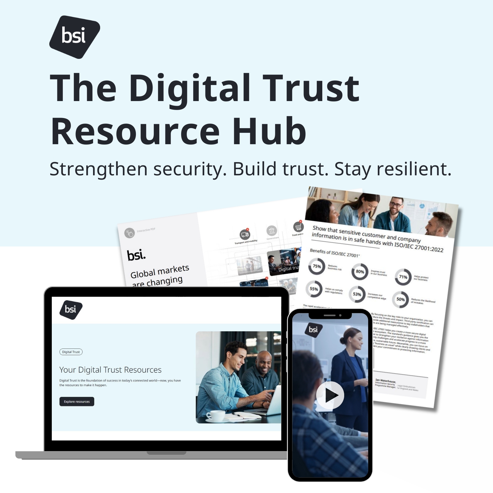BSI Digital Trust Resource Hub.jpg