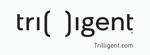 trilligent logo w url.jpg