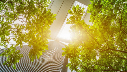 green buildings - CLIMATE CAMPAIGN ONLY.jpg 3