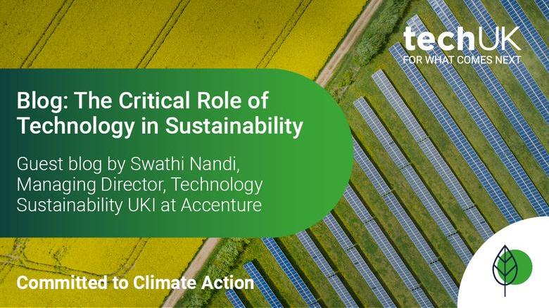 blog_role_tech_sustainability_final.jpg