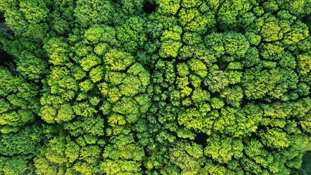 Climate-green-energy-power-innovation-305671480.jpg 3