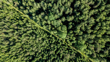 Climate-green-energy-power-innovation-305671480-web-1500px.jpg