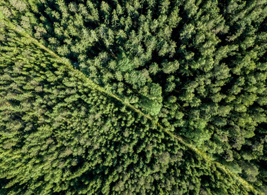 Climate-green-energy-power-innovation-305671480-web-1500px.jpg