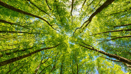 outdoors-climate-environment-215487335-web-1500px.jpg
