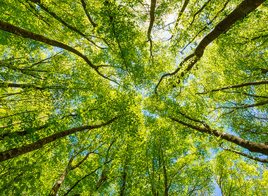 outdoors-climate-environment-215487335-web-1500px.jpg