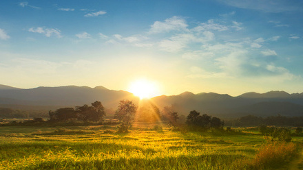 Sun-nature-landscape-292904942-web-1500px.jpeg