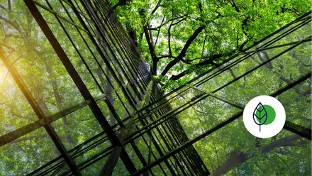 climate - Image for page header only - do not use.png