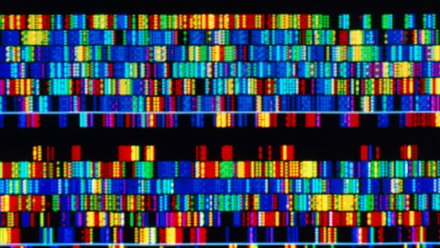 genomic sequencing.png