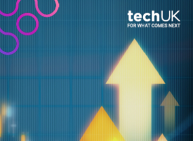 techUK-Scale-Up-Action-Plan Report.png