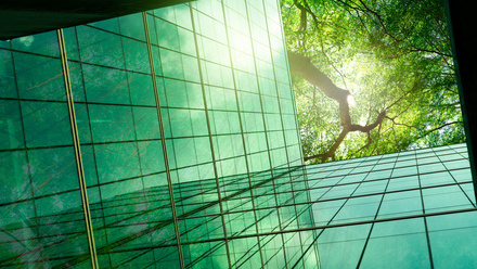 iStock-1493187091.jpg 2